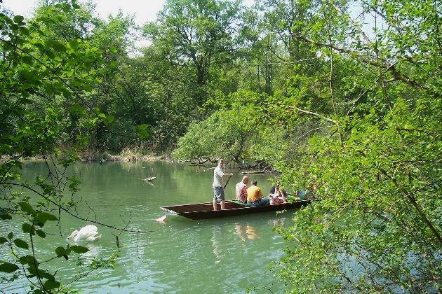 Bild 063.jpg - Eine geführte Kahnfahrt auf der verzweigten Flußlandschaft des Naturschutzgebietes Taubergießen